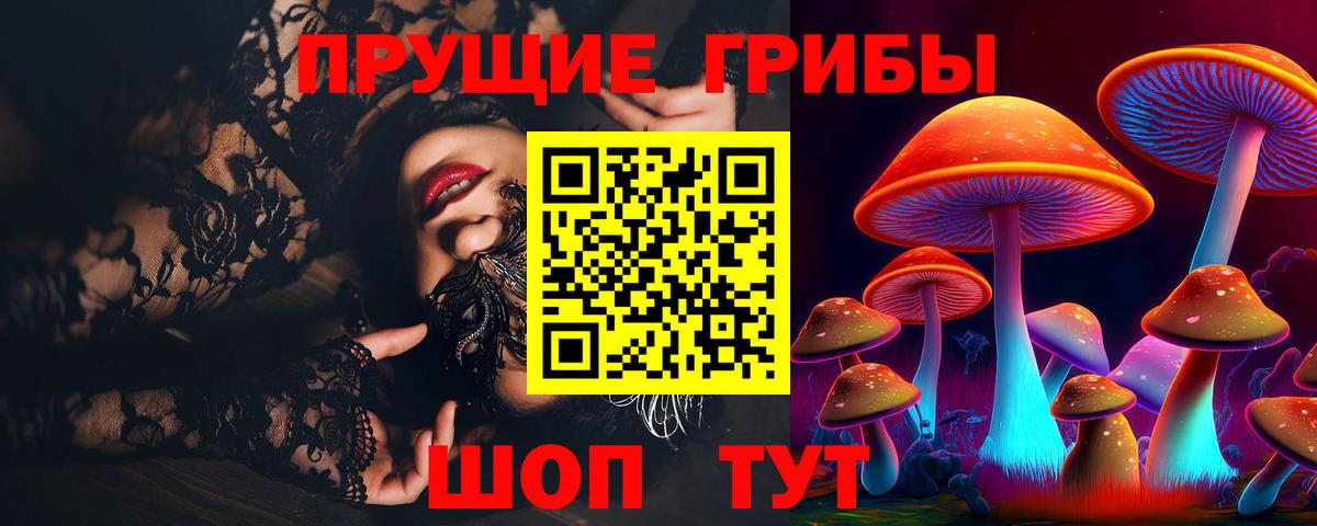 Галлюциногенные грибы Psilocybine cubensis  Вход с VPN  Чехов 